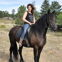 I was born in the Year of the Horse, and I'm in love with these creatures