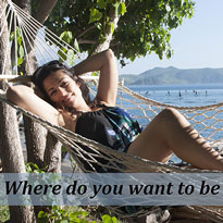 Make your dreams come true!